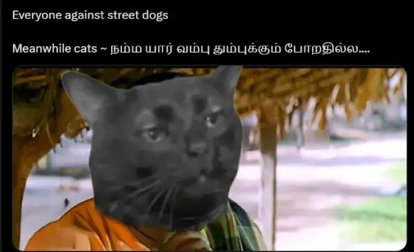 memes