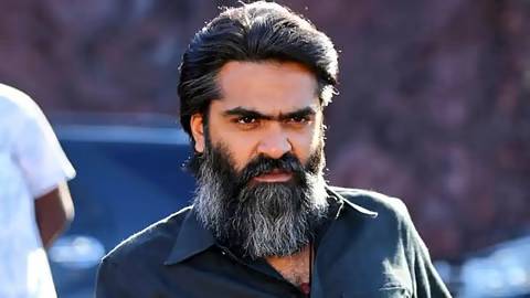 simbu