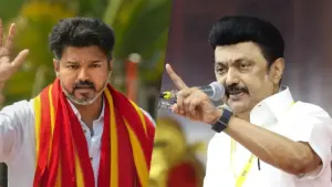 tvk-dmk-vijay-mk-stalin